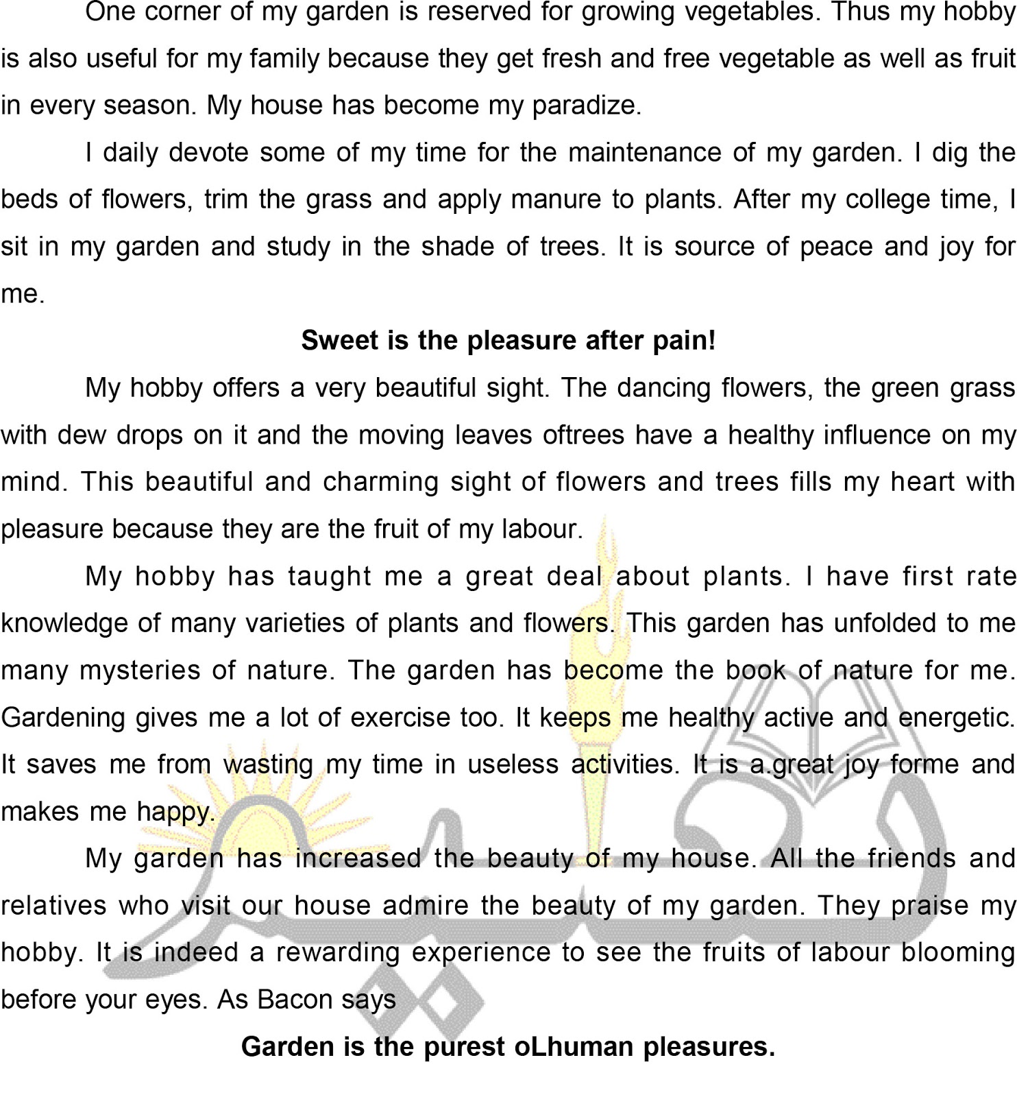 Short essay on internet image