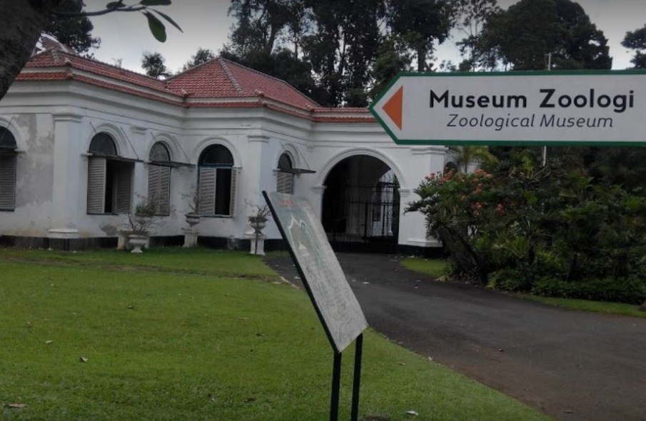 Harga Tiket Masuk Museum Zoologi Bogor Terbaru | Wisata Tempatku