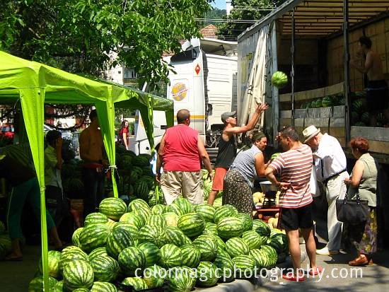 Watermelon street vendors-unloading watermelons