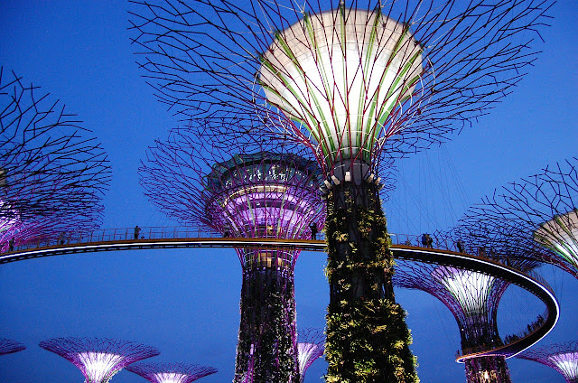 Gardens by the Bay a Singapore