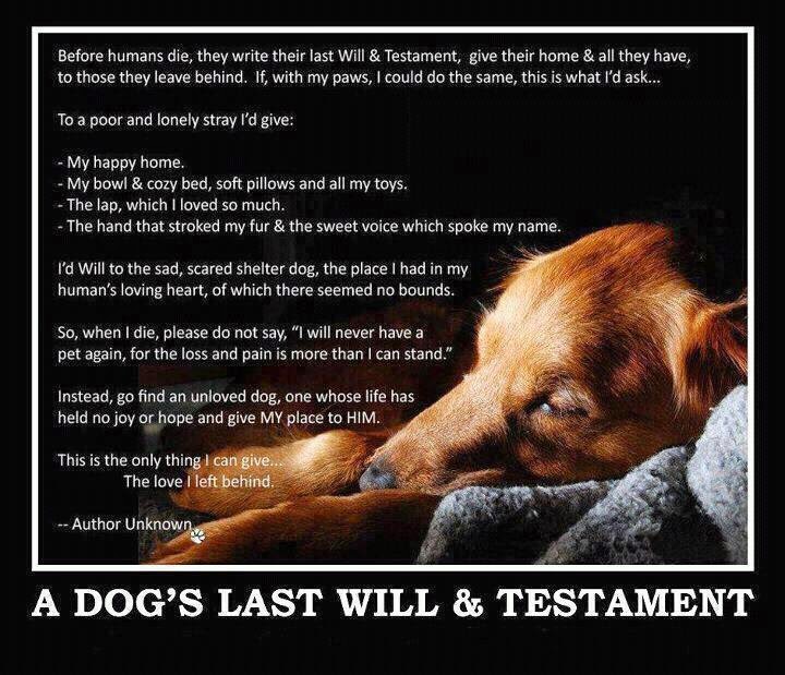 Grief To Relief Man s Best Friend Pet Loss grief-to-relief-man-s-best-friend-pet-loss