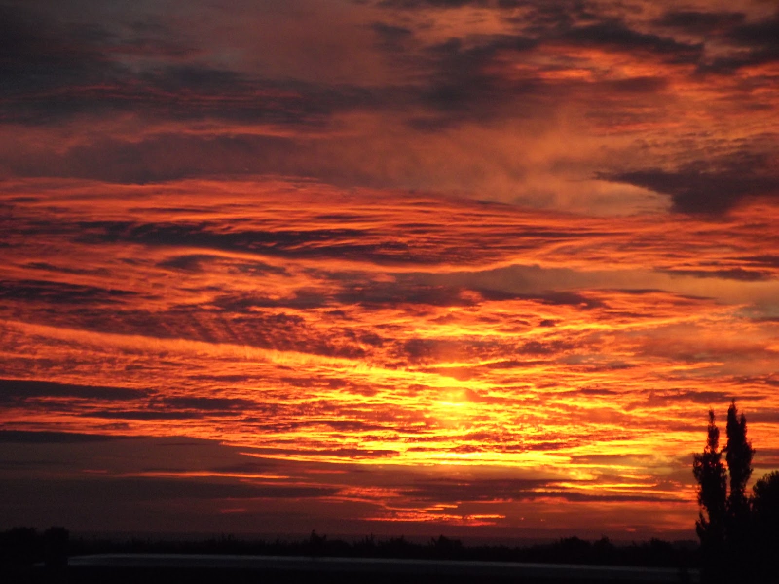 Costa Tropical Life and Times Halloween Sunset..........