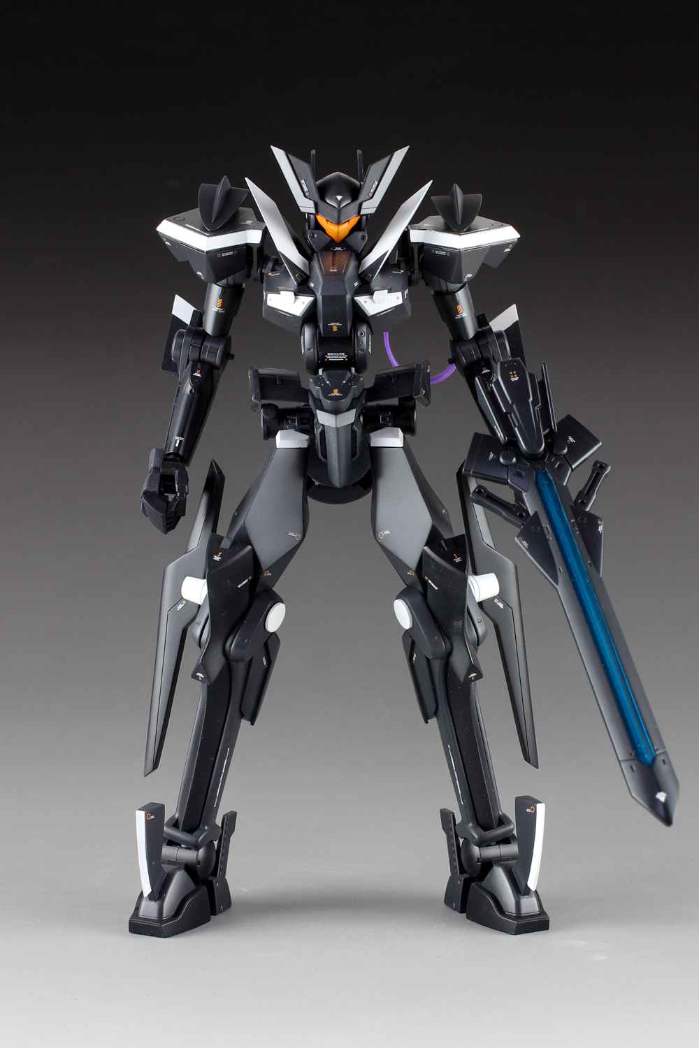 GUNDAM GUY 1/100 GN Flag Customized Build