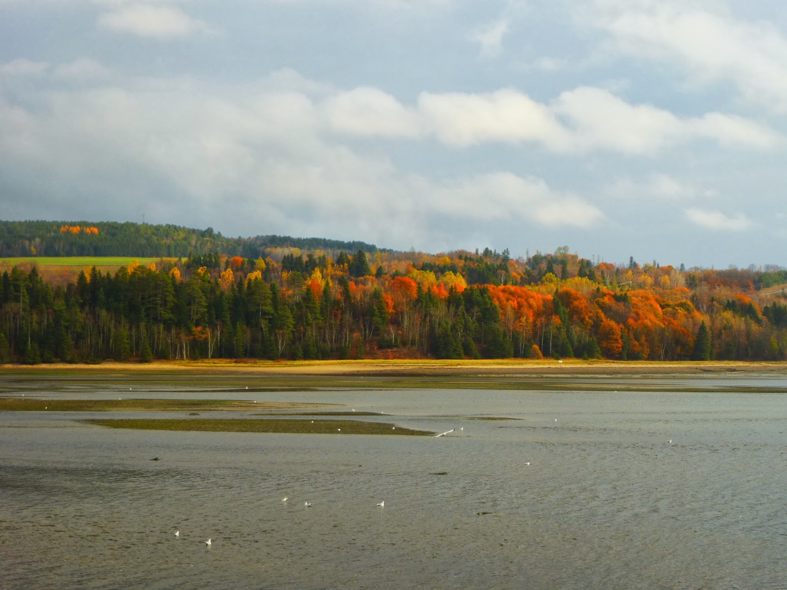 Mel au Canada La Malbaie et Baie Saint Paul