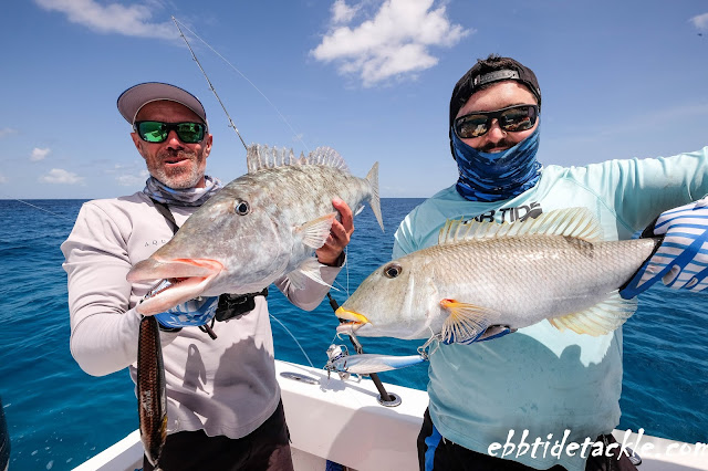 Ebb_Tide_Tackle_Amegari_Jack_Fin_Lingo_Pelagus