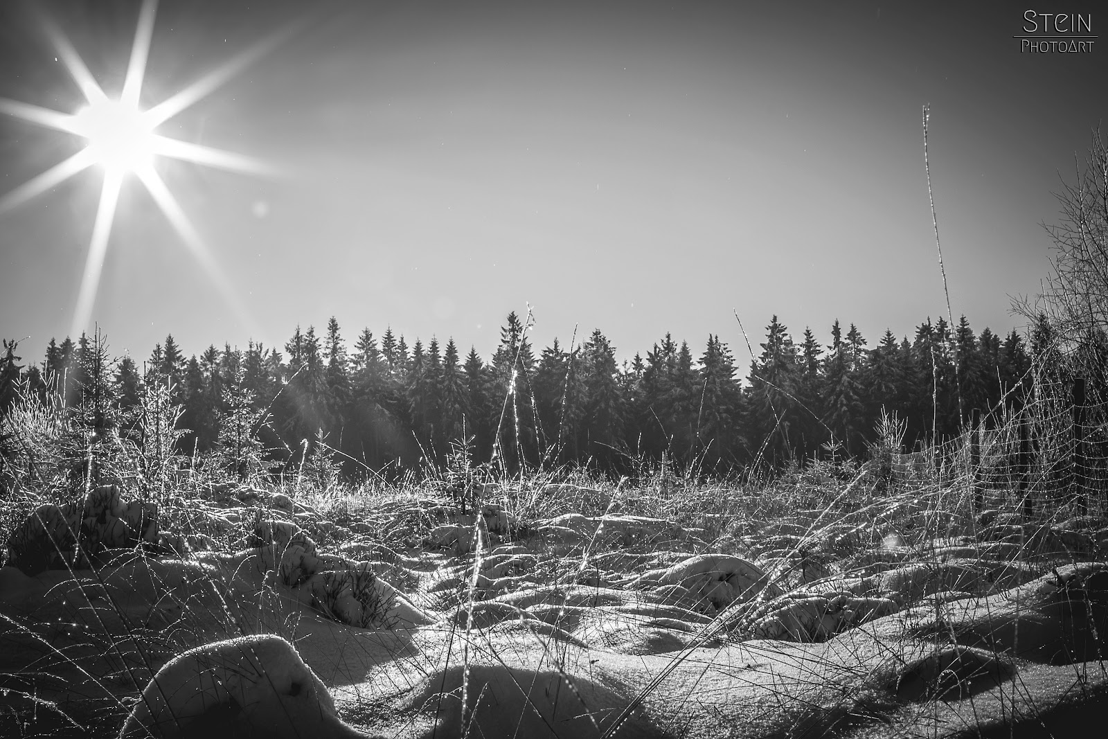 Steffi S Hochzeitsblog Die Hochzeitsmessen In Sachsen 2018 2019