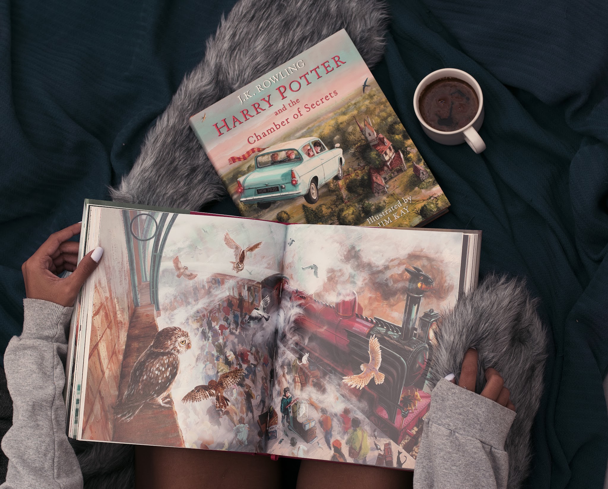 harry potter illustrated edition
