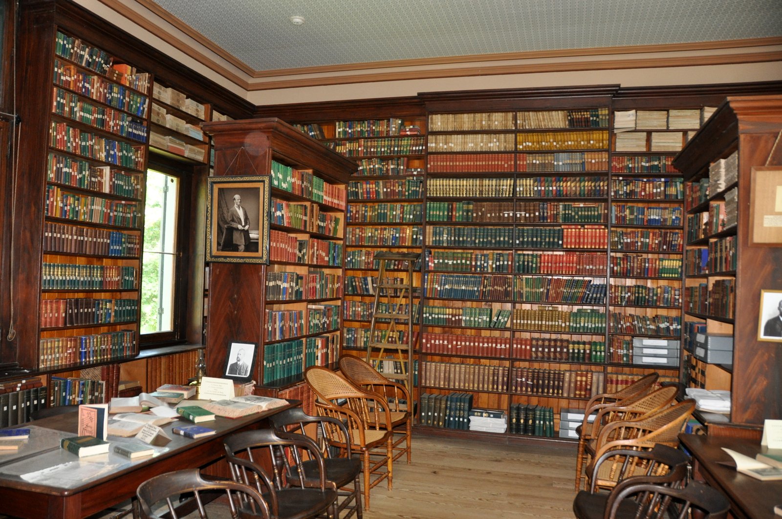 Vicki Lane Mysteries The Rugby Library