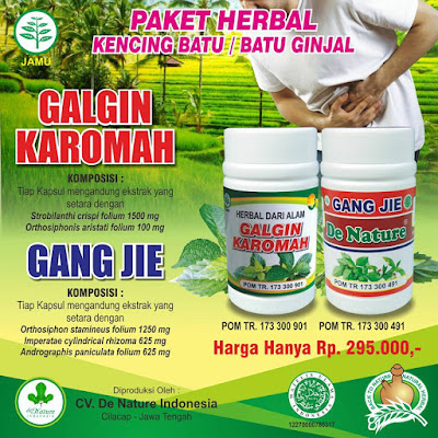 obat batu ginjal