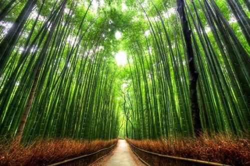 wisata wisata