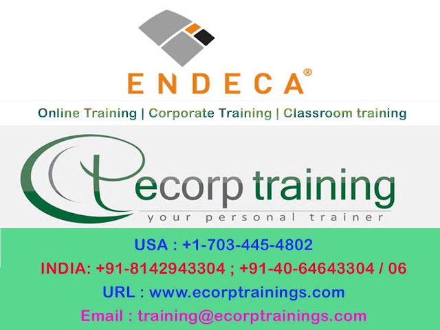 endica online training