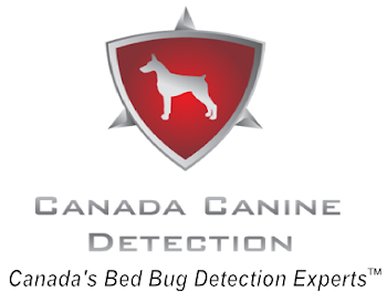 Toronto Bed Bug Detection Dog