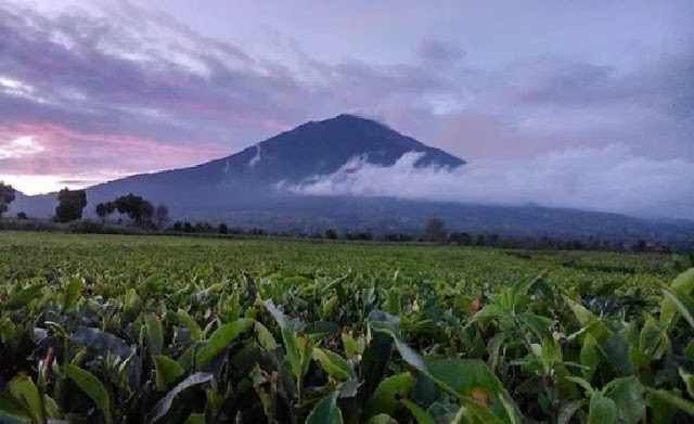 2. Gunung Kerinci - Jambi 2. Gunung Kerinci - Jambi