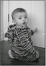 Black and White Photo of a Baby