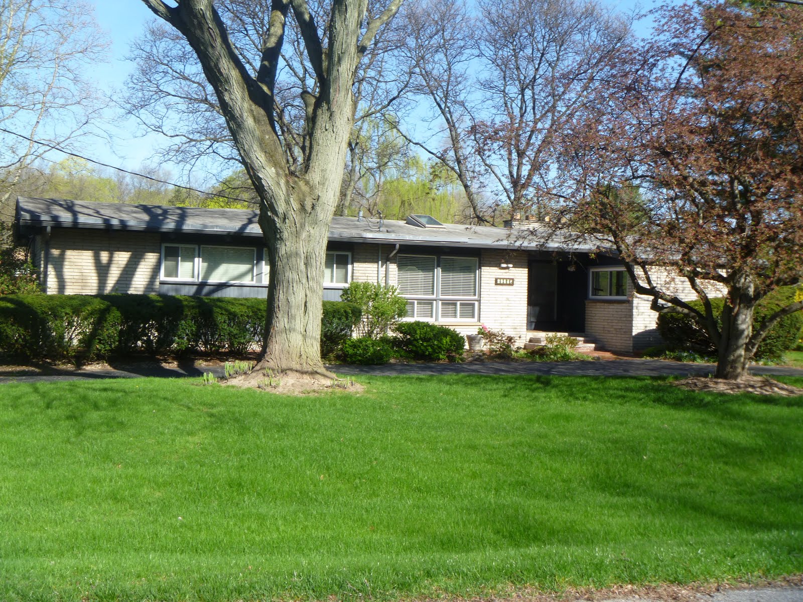 Homes for Sale in Farmington Hills MI Blog Subdivision Holly Hill