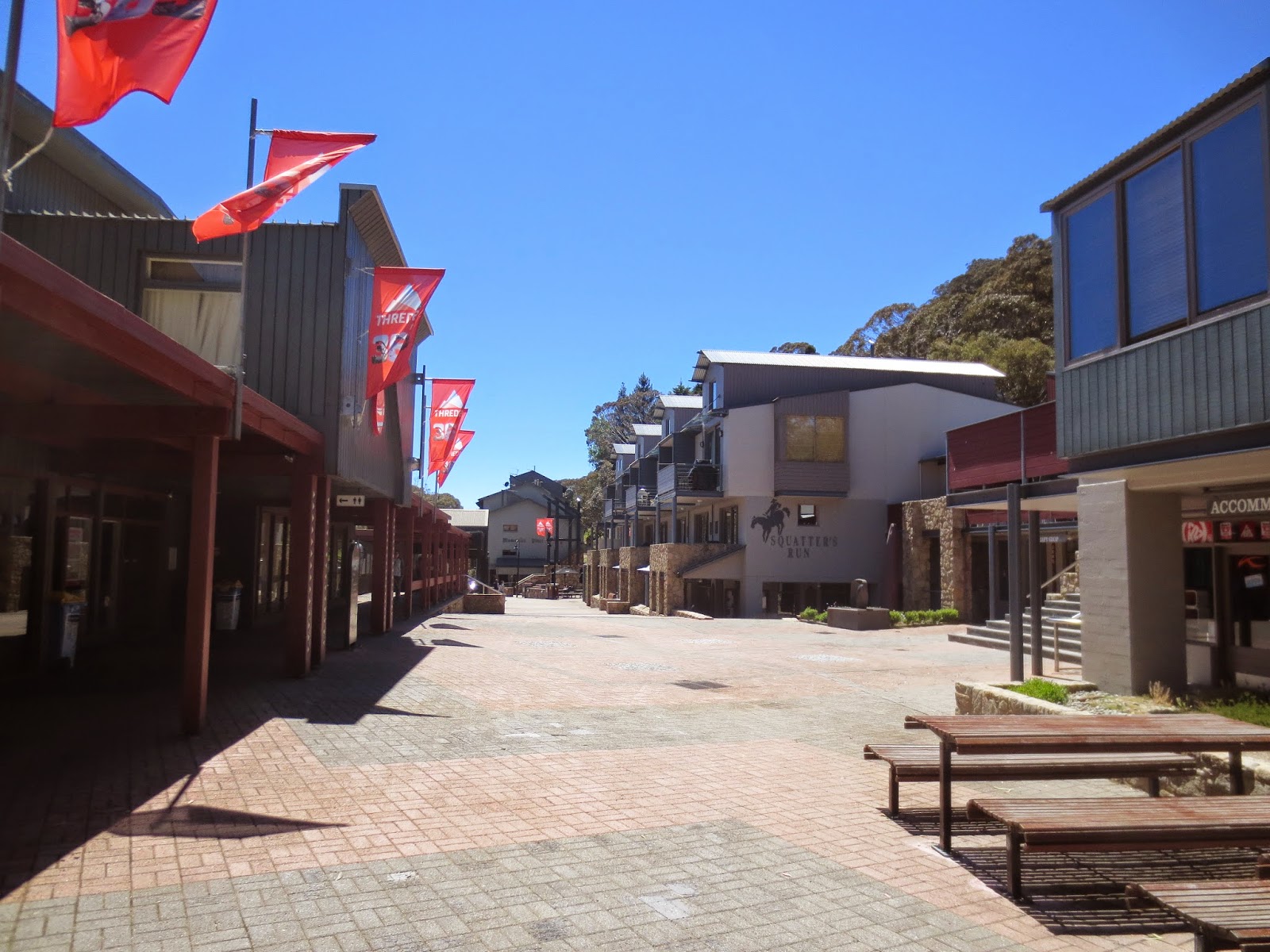 The Travelling Lindfields The Snowy Mountains in Summer where to go
