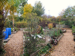 Benwell Nature Park, Newcastle upon Tyne. November 2012