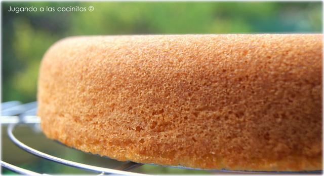  Bizcocho básico para tartas (Madeira Sponge Cake con Newchef 3D) 