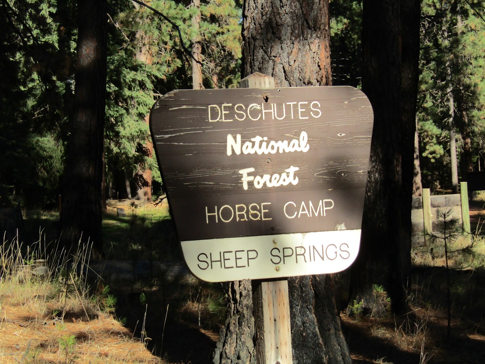Holly Blogs Her Adventures Sheep Springs Horse Camp, Deschutes