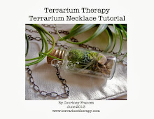 DIY Terrarium Necklace