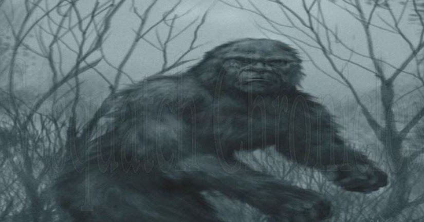 Bigfoot evidence close encounter with huge bigfoot in washington
