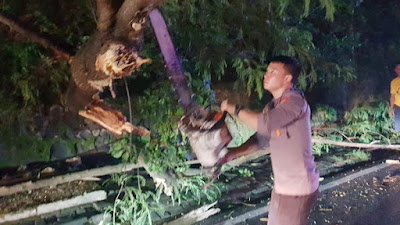 Unit SAR Samapta Polda Sulut Evakuasi Pohon Tumbang di Winangun