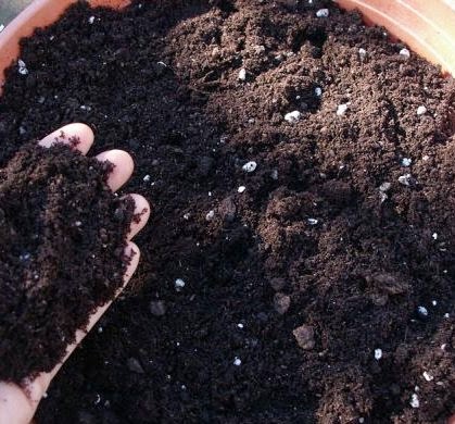 organic potting soil miracle grow