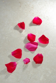 rose-petals.jpg