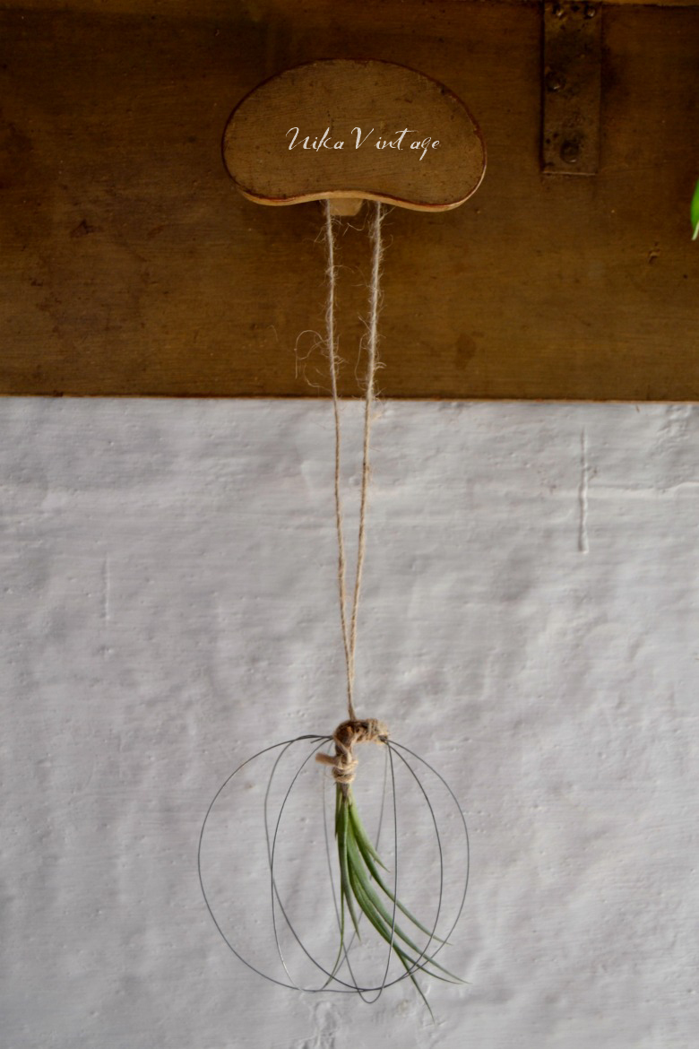 Hacemos un diy para plantas, utilizaremos alambre para hacer un mini jardín flotante para tillandsias o plantas aéreas