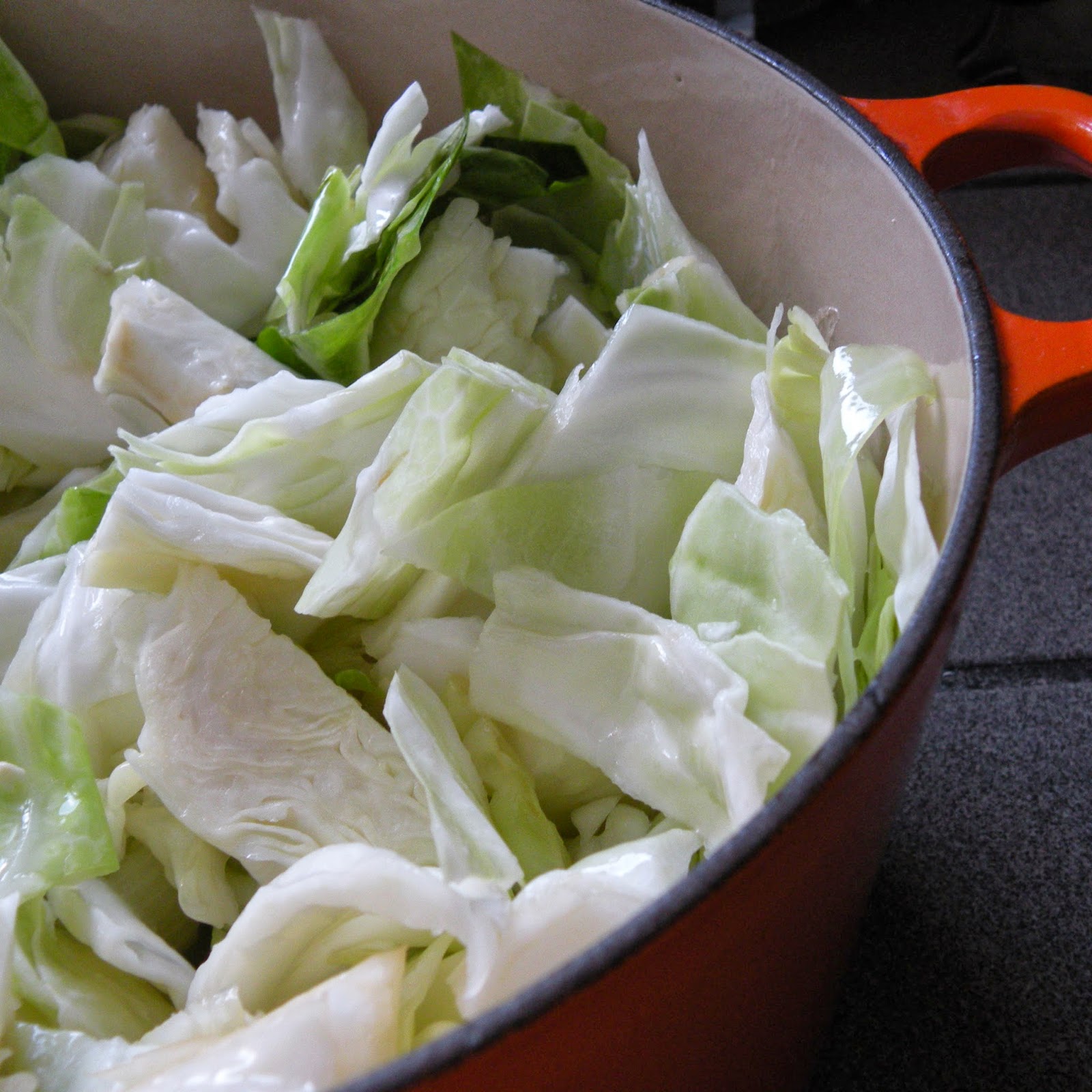 Warrior Beetle: Happy Cabbage Day