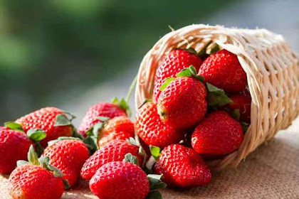 Benefits of Strawberry Fruit is Good for Body Health