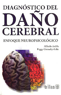 cerebro.jpg