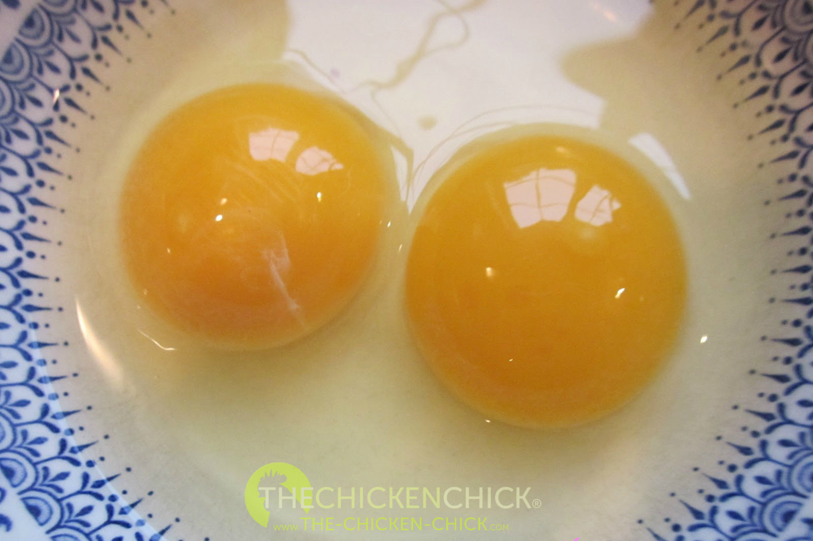 Двухжелтковое яйцо. Слизь желтка в яйце. Яйцо желтки двойни. Если попалось яйцо с двумя желтками.