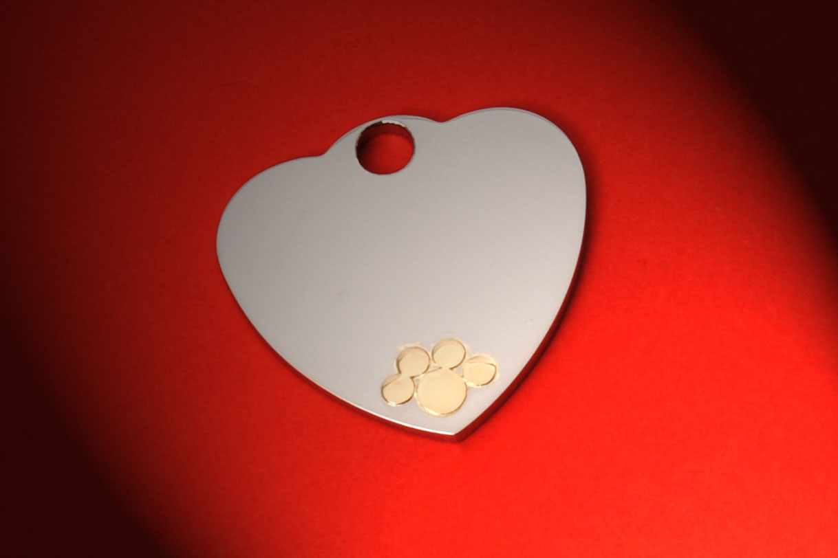 FRAMEG Medaglietta Personalizzata Per Cani E Gatti - Targhetta In Acciaio Inox Con Incisione Laser - Foto 3