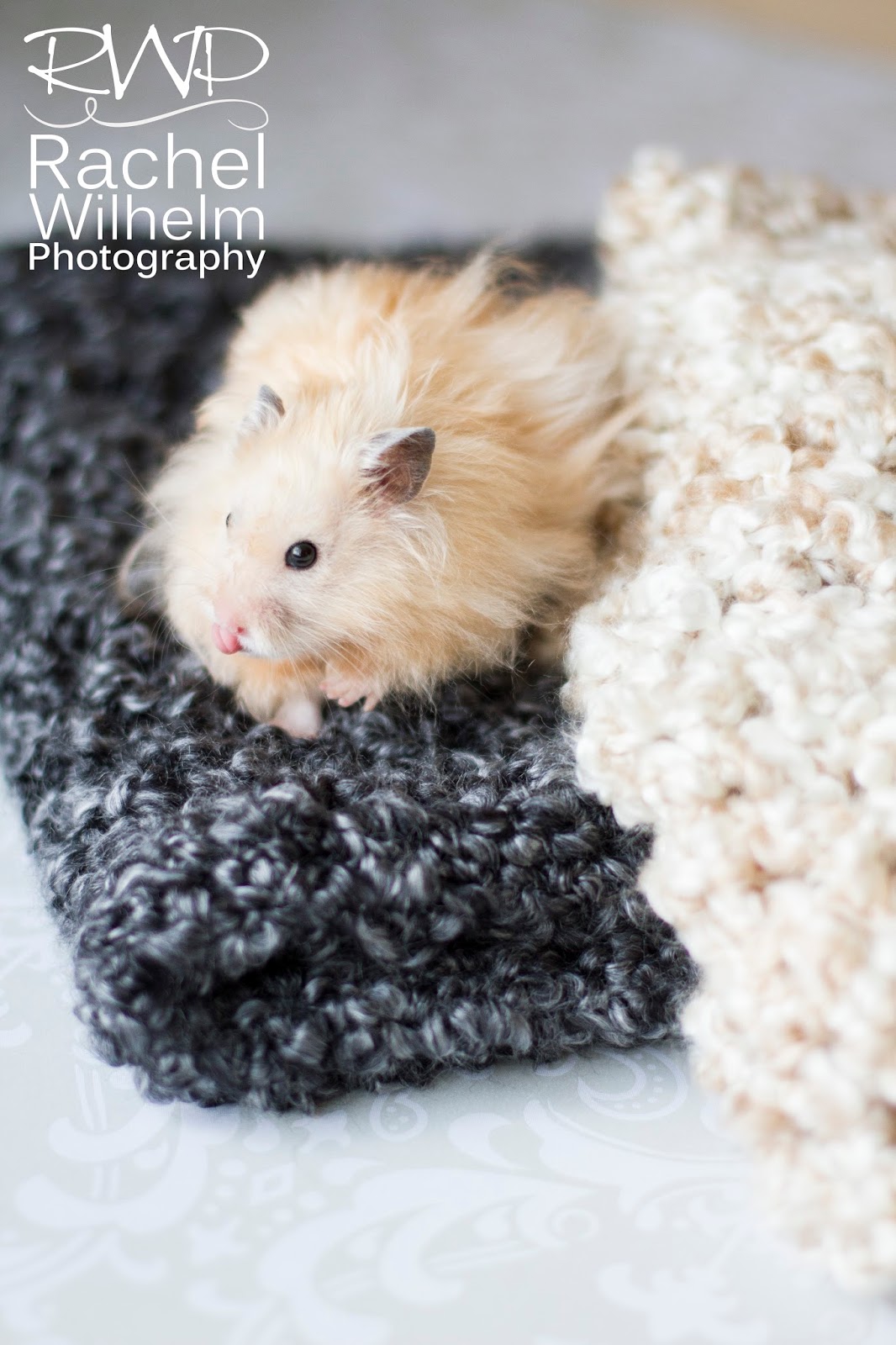 Tales of Tarcil & Friends Homespun Fluff Blankets
