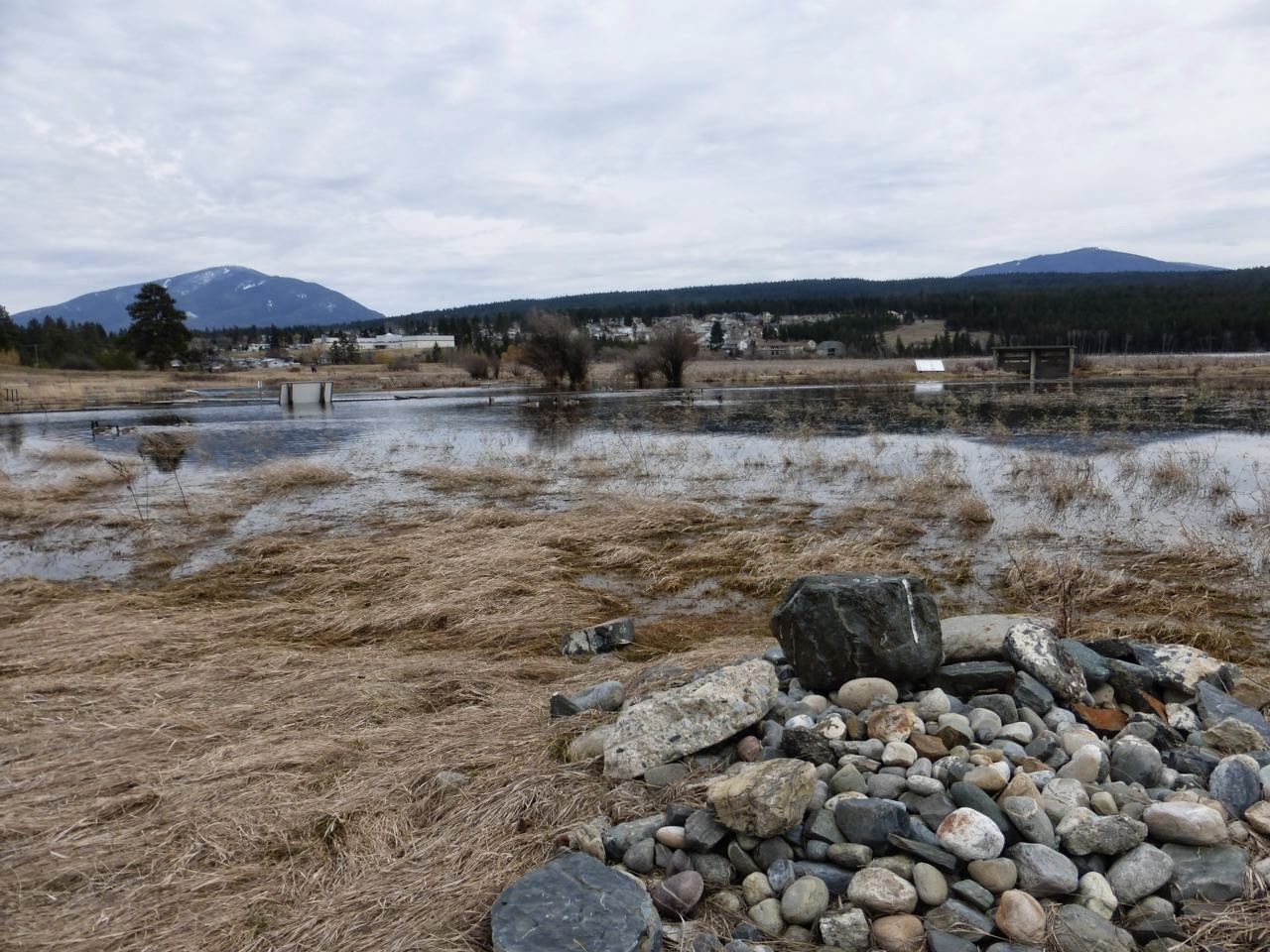 The Cranbrook Guardian Elizabeth Lake High Water
