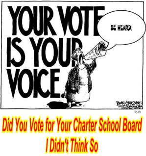 Did you Vote for you Charter School Board?