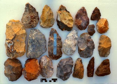 LAKE MANIX LITHIC INDUSTRY