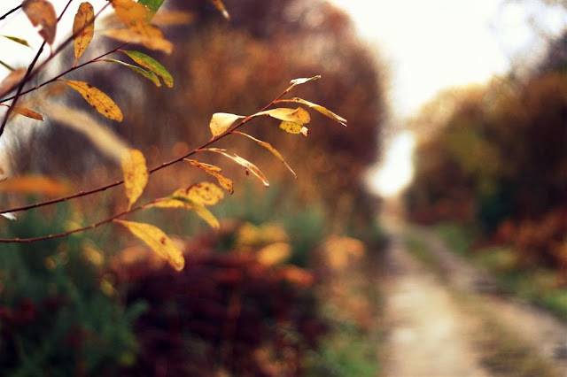 © Annie Japaud Photography, Bog Road, Oughterard, Galway, Ireland 