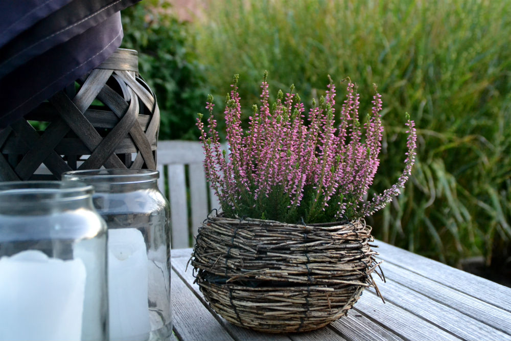 HOUSE OF SILVER: Hygge, genbrug og efterårsplanter