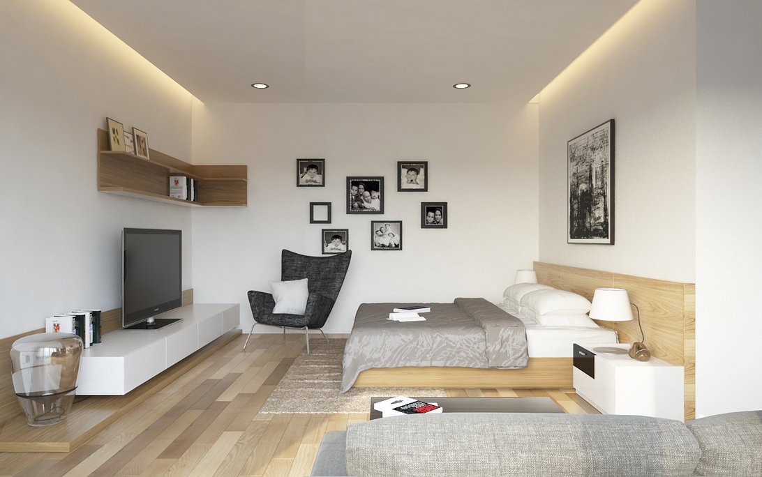 apartment living room bedroom ideas