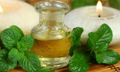 Các loại tinh dầu đang phổ biến nhất hiện nay Các loại tinh dầu đang phổ biến nhất hiện nay