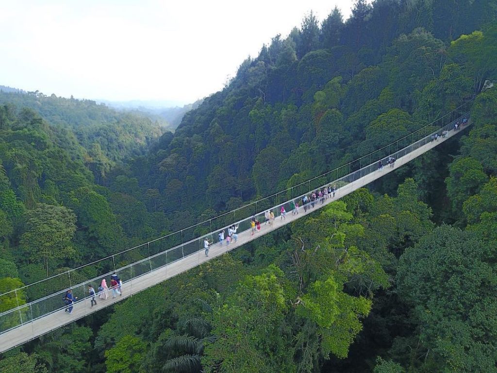 Jembatan Gantung Situ Gunung Sukabumi Jawa Barat Wisata
