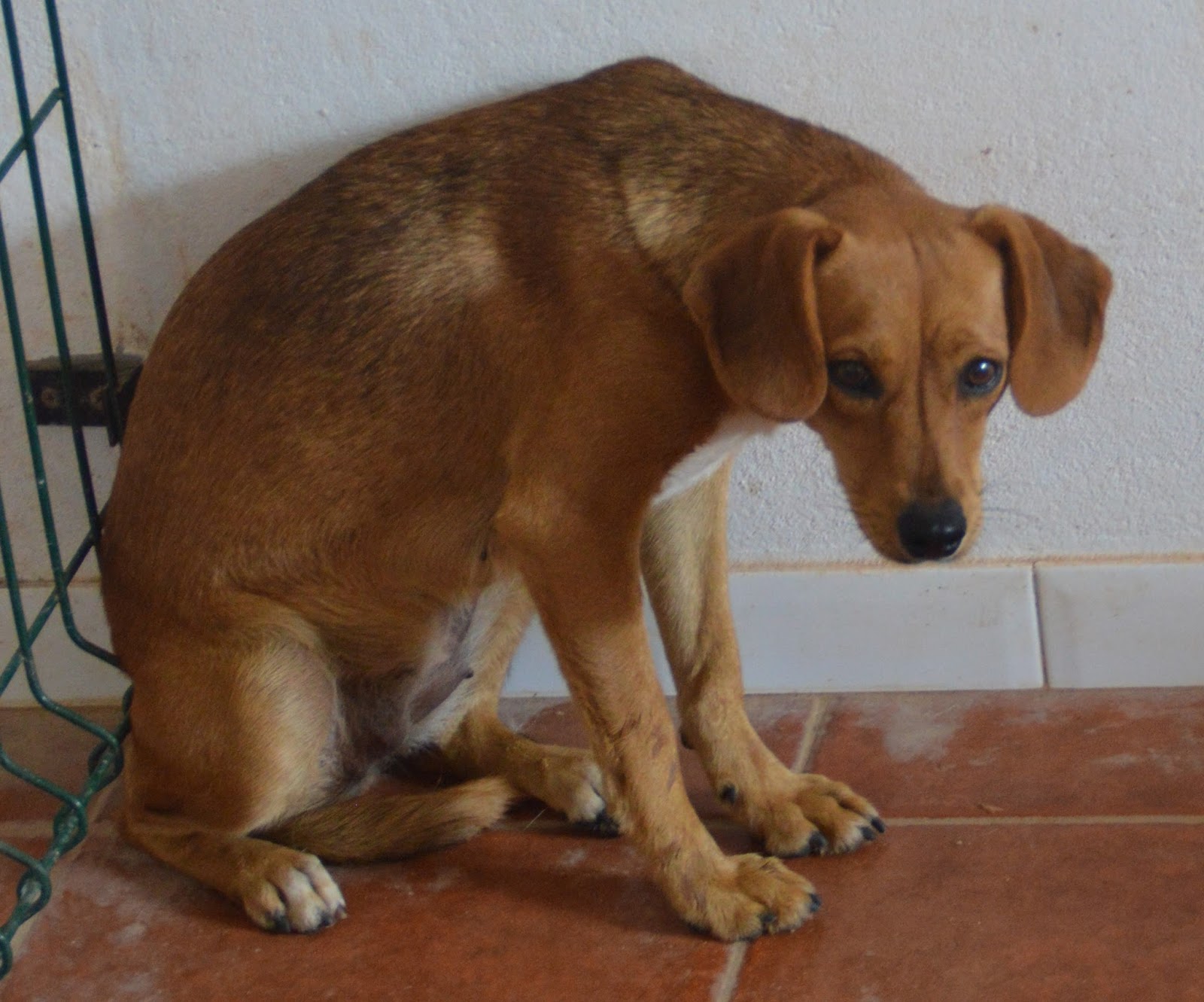 Das wahre Leben So´n büschen bekloppt ist ja ok. Juli 2016