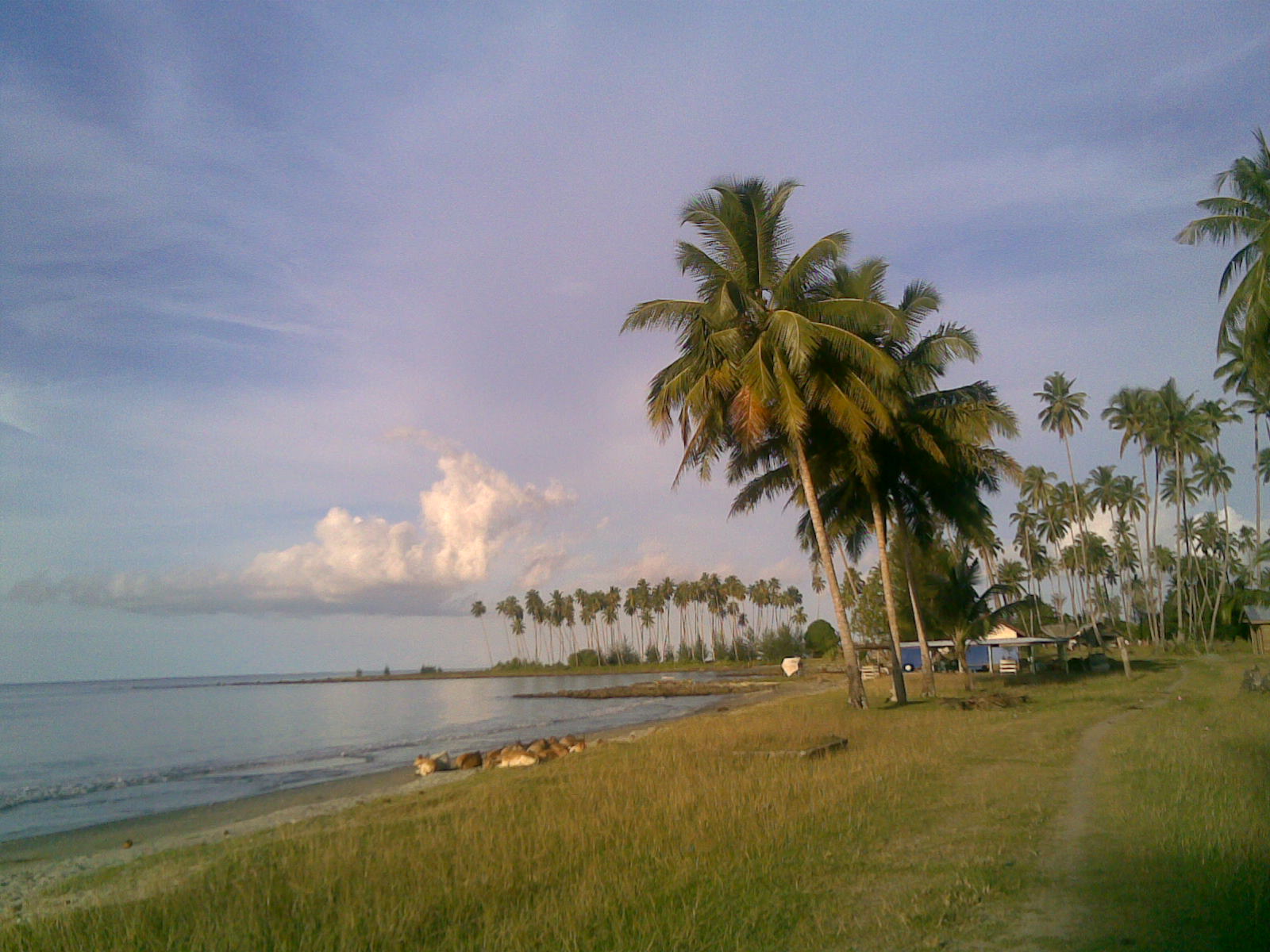 pantai ganting wisata simeulue