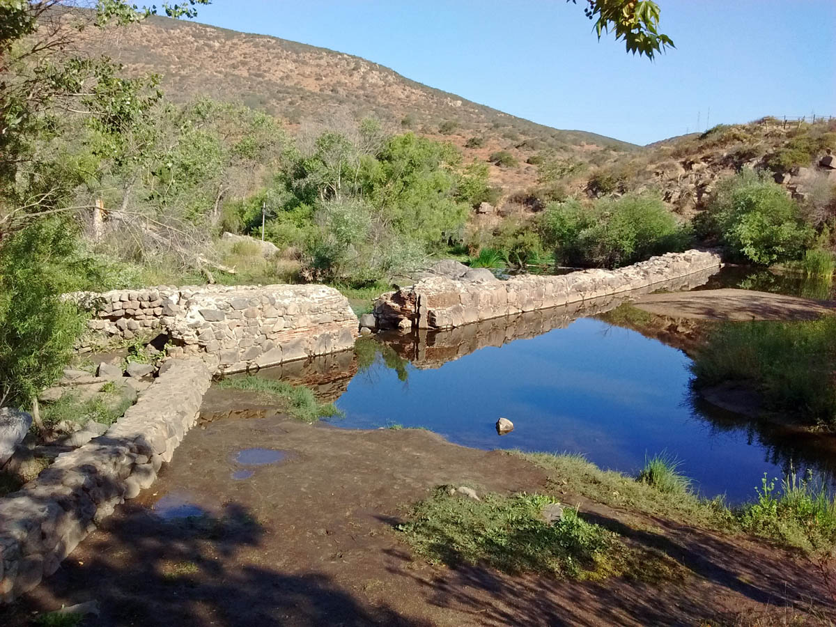 Birding Site Guide Old Mission Dam & Kumeyaay Lake Greg in San Diego