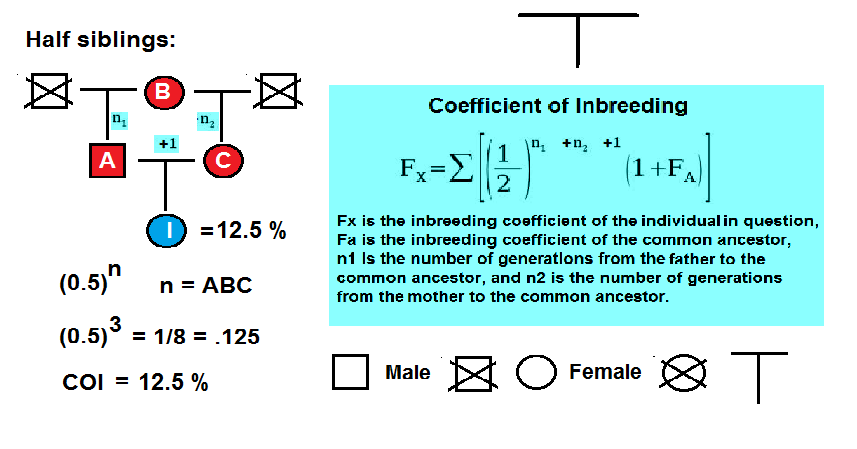 Инбридинг таблица. Inbreeding coefficient. Inbreeding coefficient Formula. What is a coefficient. Infiltration reduction coefficient.