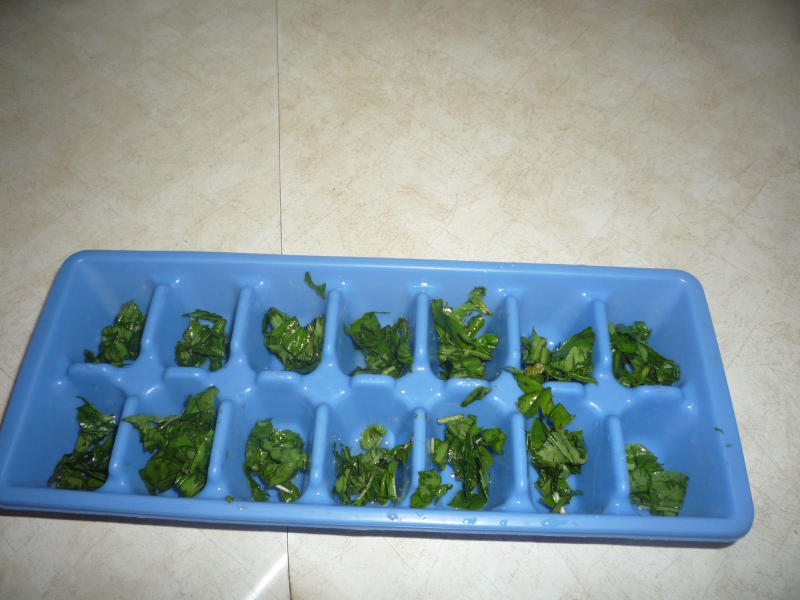 Country Living Basil Ice Cubes