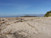 Taieri Mouth beach