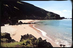 rapa nui rapa nui